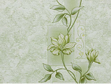 ���� 843-04.jpg