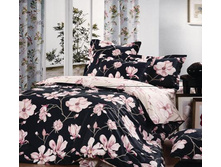 ������� (ISTOK-001).jpg