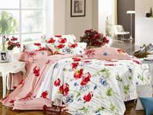 ������� (TS-015).jpg