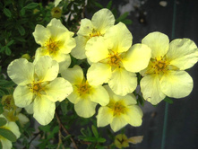 ��������  ��������-122�