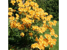 120���. ������ �������� ������ �����.jpg