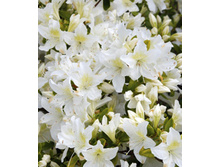 120���. ������ �������� ����������.jpg