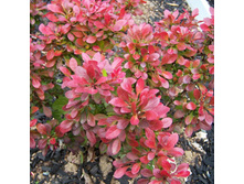 107���. �������� �������� ���������.jpg