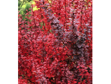 107���. �������� �������� ��� ������.jpg