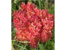 189���. �������� �������� ����� ���.jpg