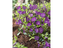 90���. �������� ����� ������������  .jpg