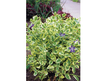 90���. �������� ������� ���������.jpg