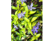 96���. �������� ����� �����������.jpg