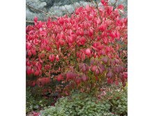 119���. ��������� �������� ���������.jpg