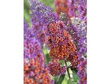 120���. ������� ������ ������ �����.jpg