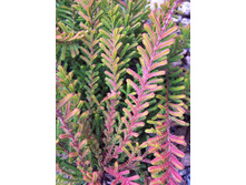 112���. ������  �������.jpg