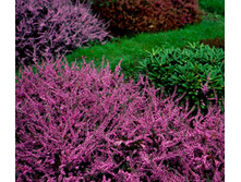 112���. ������  ����� ������.jpg