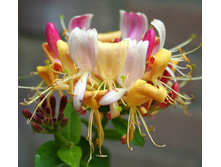 120���. ��������� �������� ���������.jpg