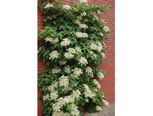 129���. ��������� ��������  ����������.jpg