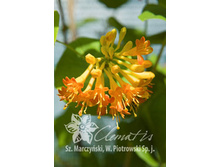 139���. ��������� ������ ������ �������.jpg