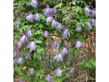 151���. �������� �������� ����.jpg