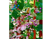 157���. ������������� ���������� �������.jpg