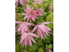 170���. �������� ���� �����.jpg