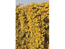 172���. ������� �������� ������ ����.jpg