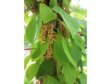 172���. �������� ��������� ���������.jpg