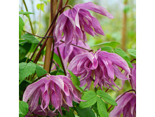 179���. �������� ����� ����.jpg