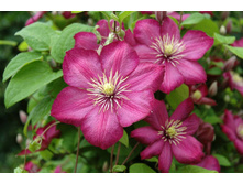 187���. �������� ���� �� ����.jpg