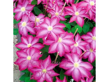 187���. �������� �����.jpg