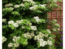 206���. ��������� ��������  �������.jpg