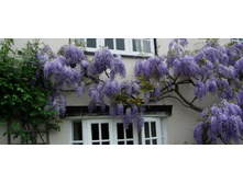 348���. �������� ����������� ��� ���.jpg