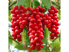 216���. �������� ��������� ������� 1.jpg