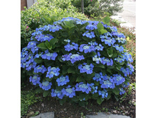 102���. ��������� �������������� ���������.jpg