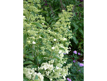 109���. ��������� �����������  �����.jpg