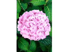 120���. ��������� �������������� �������.jpg