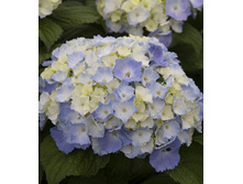 120���. ��������� �������������� �����-���.jpg