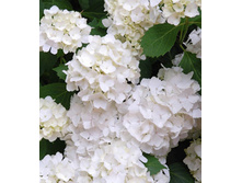 120���. ��������� �������������� ����� ����� ����̣.jpg