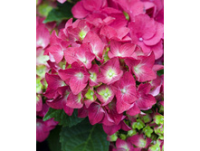 160���. ��������� �������������� ��� ���.jpg