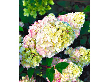 179���. ��������� �����������  ������ �����.jpg