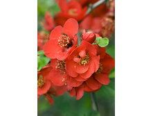 108���. ���� ������������ (���������) �������.jpg