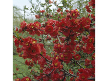 108���. ���� ������������ (���������) ����� �������.jpg