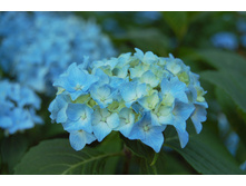 189���. ��������� �������������� ���� �����.jpg