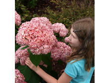 420���. ��������� ����������� InvincibelleR ���� ��������.jpg