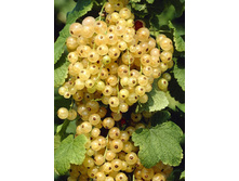 122���. ��������� ����� ����� ���������.jpg