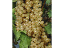 122���. ��������� ����� �������.jpg