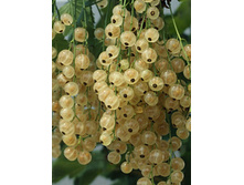 122���. ��������� ����� ��������.jpg