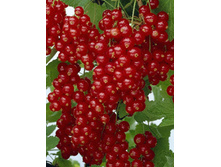 122���. ��������� ������� �������.jpg