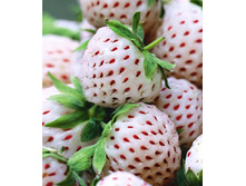 124���. ��������� ������� ��������� ���� ����.jpg