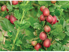 130���. ��������� ����������.jpg