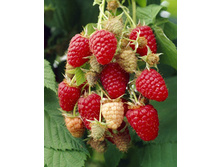 130���. ������ ����������.jpg