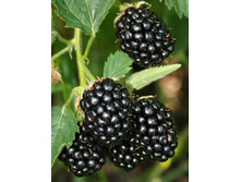 130���. ������� ��������� ����� �����.jpg