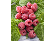 130���. ������ �������.jpg